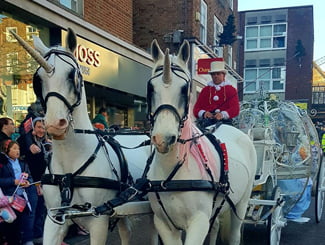 Unicorns At Aylesbury Santa Parade