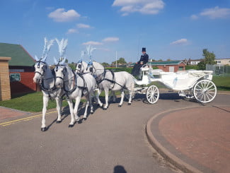 Two by Two Horse Drawn Occasions Wedding Formation